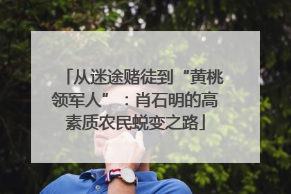 从迷途赌徒到“黄桃领军人”：肖石明的高素质农民蜕变之路
