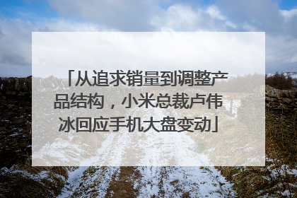 从追求销量到调整产品结构，小米总裁卢伟冰回应手机大盘变动