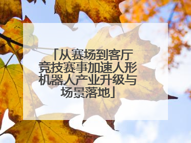 从赛场到客厅 竞技赛事加速人形机器人产业升级与场景落地