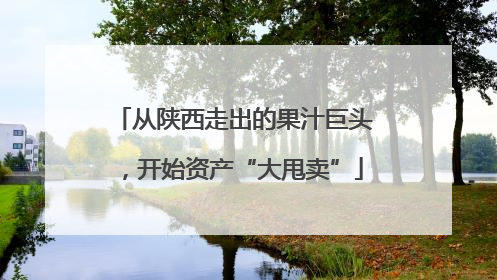从陕西走出的果汁巨头，开始资产“大甩卖”