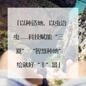 以种适地、以虫治虫……科技赋能“三夏” “智慧种地”绘就好“丰”景