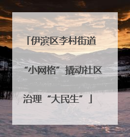 伊滨区李村街道 “小网格”撬动社区治理“大民生”