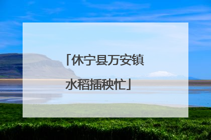 休宁县万安镇水稻插秧忙