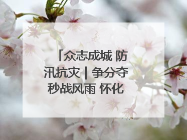 众志成城 防汛抗灾｜争分夺秒战风雨 怀化市全力以赴守护人民群众安全