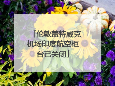 伦敦盖特威克机场印度航空柜台已关闭