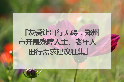 友爱让出行无碍，郑州市开展残障人士、老年人出行需求建议征集