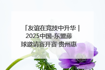 友谊在竞技中升华｜2025中国-东盟藤球邀请赛开赛 贵州惠水燃动“空中芭蕾”