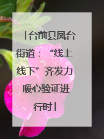 台前县凤台街道：“线上线下”齐发力 暖心验证进行时