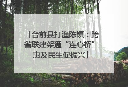 台前县打渔陈镇：跨省联建架通“连心桥” 惠及民生促振兴