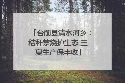 台前县清水河乡：秸秆禁烧护生态 三夏生产保丰收
