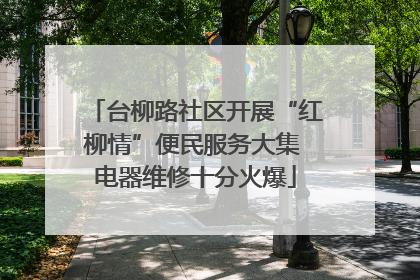 台柳路社区开展“红柳情”便民服务大集 电器维修十分火爆