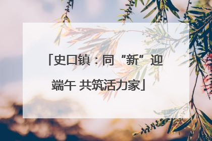 史口镇：同“新”迎端午 共筑活力家