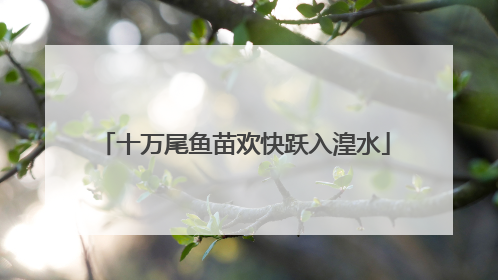 十万尾鱼苗欢快跃入湟水