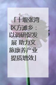 十堰张湾区方滩乡：以调研促发展 助力文旅康养产业提质增效
