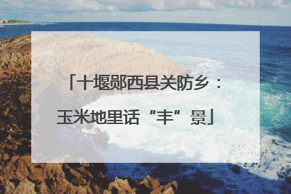 十堰郧西县关防乡：玉米地里话“丰”景