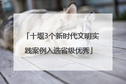 十堰3个新时代文明实践案例入选省级优秀