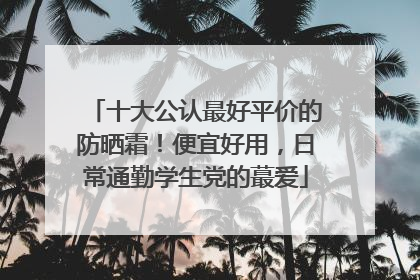 十大公认最好平价的防晒霜！便宜好用，日常通勤学生党的蕞爱