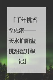 千年桃香今更浓——天水伯阳蜜桃甜蜜升级记
