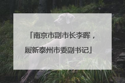 南京市副市长李晖，履新泰州市委副书记