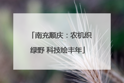南充顺庆：农机织绿野 科技绘丰年