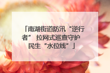 南湖街道防汛“逆行者” 拉网式巡查守护民生“水位线”