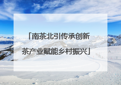 南茶北引传承创新 茶产业赋能乡村振兴