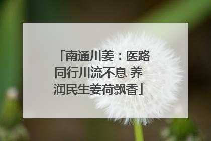 南通川姜：医路同行川流不息 养润民生姜荷飘香
