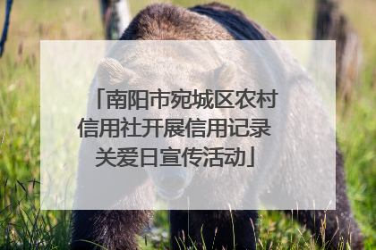南阳市宛城区农村信用社开展信用记录关爱日宣传活动
