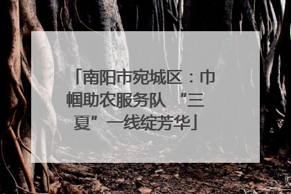 南阳市宛城区：巾帼助农服务队 “三夏”一线绽芳华