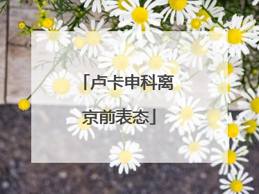 卢卡申科离京前表态
