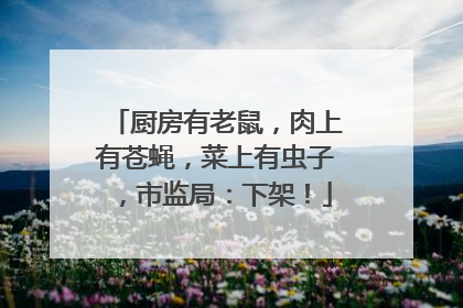 厨房有老鼠，肉上有苍蝇，菜上有虫子，市监局：下架！