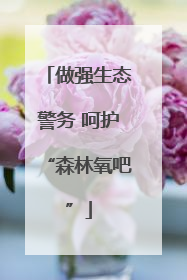 做强生态警务 呵护“森林氧吧”
