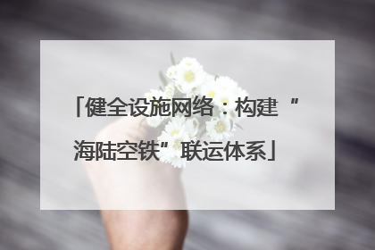 健全设施网络：构建“海陆空铁”联运体系