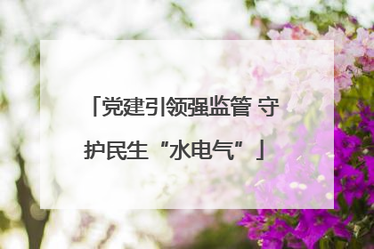 党建引领强监管 守护民生“水电气”