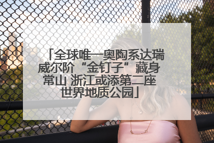 全球唯一奥陶系达瑞威尔阶“金钉子”藏身常山 浙江或添第二座世界地质公园