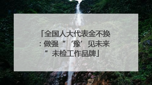 全国人大代表金不换：做强“‘豫’见未来”未检工作品牌