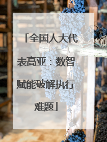全国人大代表高亚：数智赋能破解执行难题