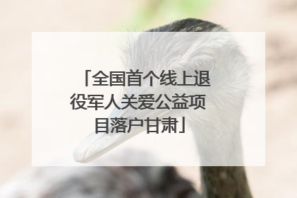 全国首个线上退役军人关爱公益项目落户甘肃