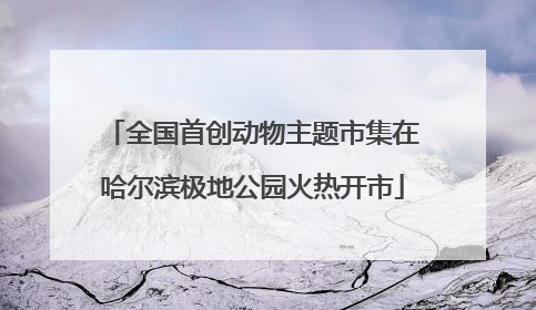 全国首创动物主题市集在哈尔滨极地公园火热开市