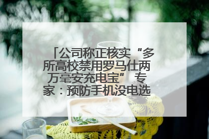 公司称正核实“多所高校禁用罗马仕两万毫安充电宝” 专家：预防手机没电选中等体积产品即可