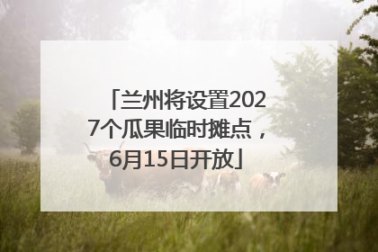 兰州将设置2027个瓜果临时摊点，6月15日开放