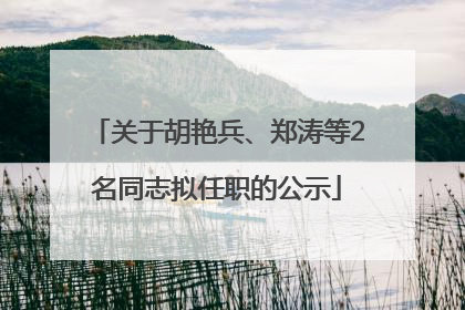 关于胡艳兵、郑涛等2名同志拟任职的公示