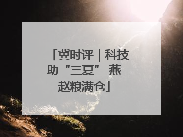 冀时评｜科技助“三夏” 燕赵粮满仓