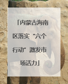 内蒙古海南区落实“六个行动”激发市场活力
