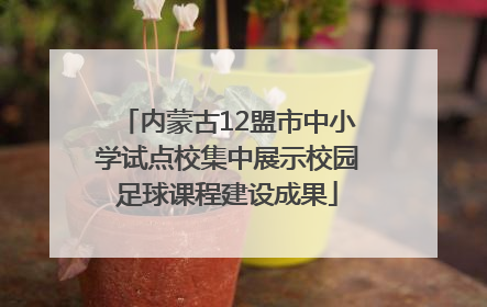 内蒙古12盟市中小学试点校集中展示校园足球课程建设成果