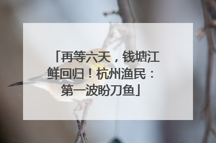 再等六天，钱塘江鲜回归！杭州渔民：第一波盼刀鱼