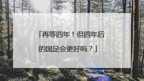 再等四年！但四年后的国足会更好吗？