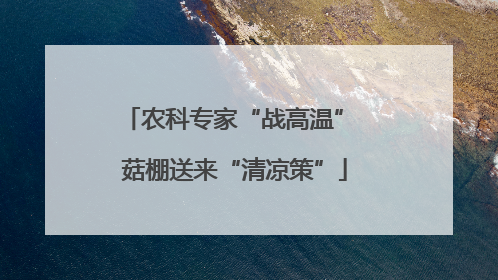 农科专家“战高温” 菇棚送来“清凉策”
