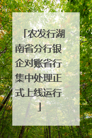农发行湖南省分行银企对账省行集中处理正式上线运行