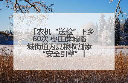 农机“送检”下乡60次 枣庄薛城临城街道为夏粮收割添“安全引擎”
